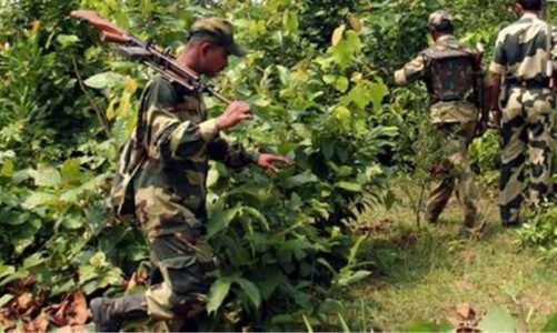 CG : “बीजापुर में नक्सली हमले की तैयारी नाकाम, जवानों ने बरामद किया शक्तिशाली IED”