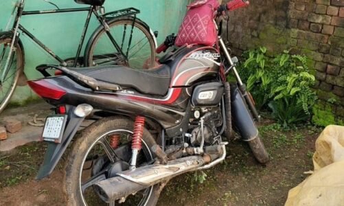 CG : मातम में पसरी रक्षाबंधन की खुशियां, मवेशी से टकराने से बाइक सवार भाई – बहन समेत तीन की मौत, एक गंभीर