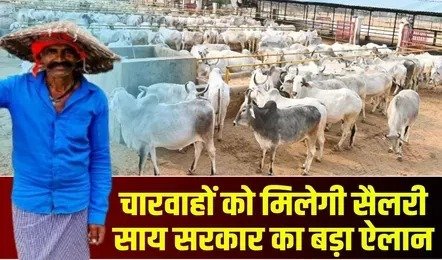 छत्तीसगढ़ में जल्द होगी गौसेवकों और चरवाहों की भर्ती, जानिए कितनी मिलेगी सैलरी?