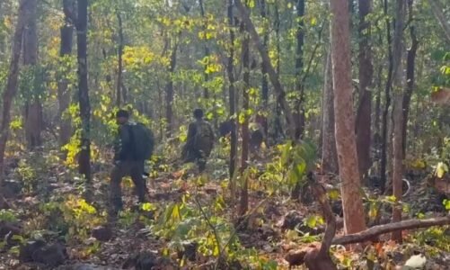 BREAKING : गरियाबंद में पुलिस-नक्सली मुठभेड़ में 10 नक्सली ढ़ेर