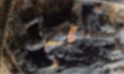 दिल दहला देने वाली घटना… खाट पर सो रही बुजुर्ग महिला की जिंदा जलकर मौत, इलाके में फैली दहशत