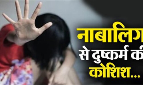 CG Crime : नवरात्र से पहले माता के गढ़ में 4 साल की मासूम से दुष्कर्म की कोशिश