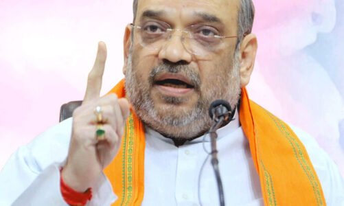 इस दिन छत्तीसगढ़ आयेंगे केंद्रीय गृहमंत्री अमित शाह, बस्तर दशहरा में होंगे शामिल