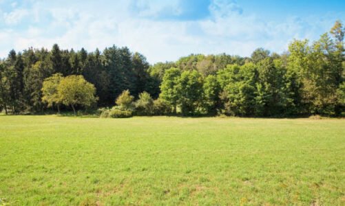 पांच डिसमिल से कम कृषि भूमि की अब नहीं हो सकेगी रजिस्ट्री, नए कानून को राजभवन से मिली मंजूरी