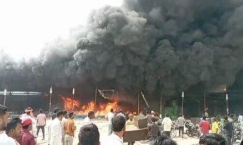 CG : सब्जी मंडी में लगी भीषण आग, कई दुकानें जलकर खाक, लाखों का हुआ नुकसान