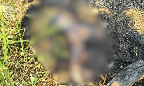 CG – युवती की मिली जली लाश : इलाके में फैली सनसनी, जताई जा रही ये आशंका
