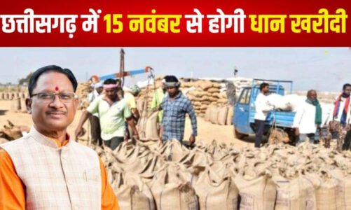 छत्तीसगढ़ में 15 नवंबर से होगी धान खरीदी, 60 लाख मीट्रिक का लक्ष्य, प्रति क्विंटल 31 सौ का होगा भुगतान