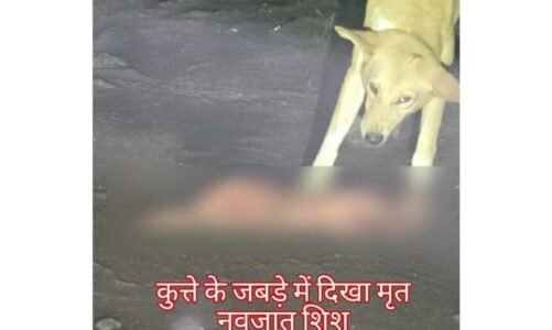 दिल दहला देने वाली घटना, आवारा कुत्ते के जबड़े में दिखा मृत नवजात शिशु, मचा हड़कंप