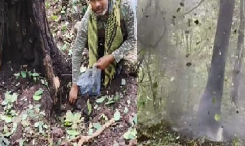 नक्सलियों के मनसूबे पर फिरा पानी, सुरक्षा बलों ने 5 किलो प्रेशर IED बम किया बरामद