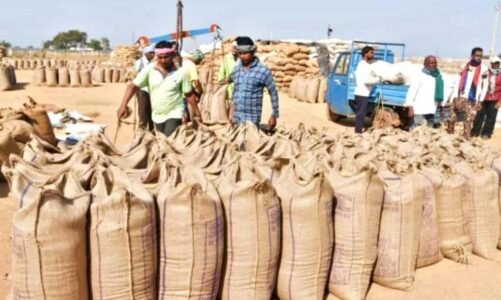 Breaking : धान खरीदी पर बड़ा अपडेट; 15 नहीं अब इस दिन से शुरु होगी खरीदी, कलेक्टर का बड़ा ऐलान