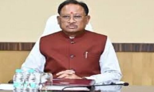 भारतीय महिला क्रिकेट टीम ने पहली बार वनडे विश्व कप जीत कर रचा इतिहास,CM साय ने दी बधाई