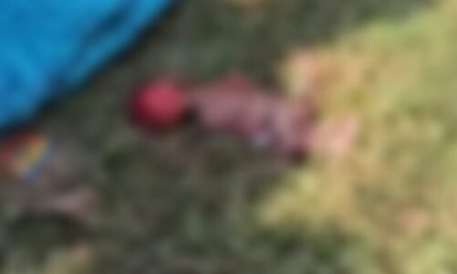 मानवता हुई शर्मसार, सड़क किनारे लावारिस हालत में मिला नवजात शिशु का शव, इलाके में फैली सनसनी