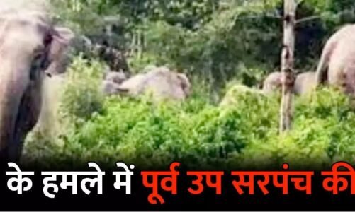 छत्तीसगढ़ के इस जिले में गजराज का आतंक: पूर्व उप सरपंच को कुचलकर उतारा मौत के घाट, तीन लोगों ने भागकर बचाई अपनी जान….