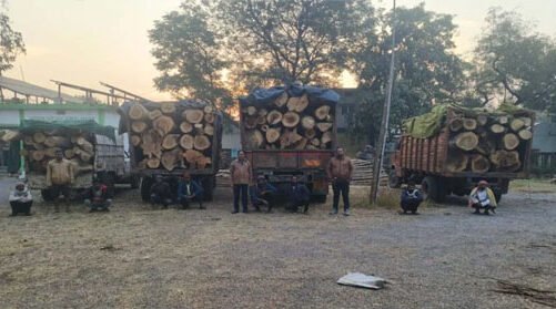 प्रतिबंधित कहुआ लकड़ी का अवैध परिवहन, दुर्ग में वन विभाग ने जब्त किए पांच वाहन