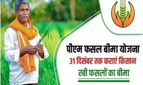 CG : किसानों के लिए काम की खबर, इस डेट तक करा लें फसल बीमा