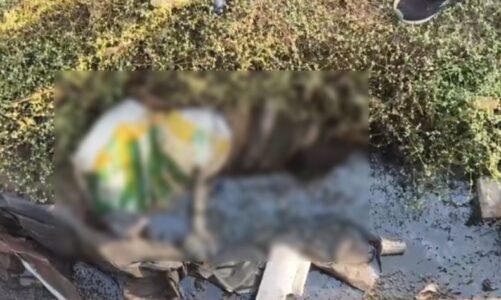 Murder : छत्तीसगढ़ में यहां बोरे में मिली महिला की लाश, लिव-इन पार्टनर ने दी खौफनाक मौत