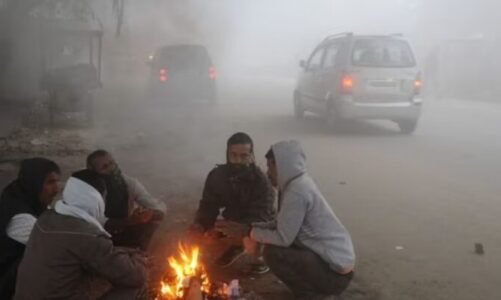 प्रदेशभर में ठंड का सितम जारी, आने वाले कुछ दिनों फिर बढ़ेगी ठिठुरन, मौसम विभाग का अलर्ट जारी