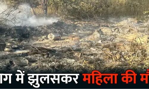 CG- आग में झुलसकर महिला की मौत: खेत में मिली अधजली लाश…पराली जलाने का हादसा या कुछ और?