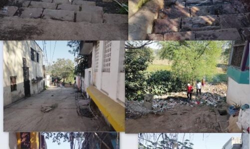 जूना बिलासपुर के 11 प्राचीन घाट उपेक्षा के साए में, इतिहास बन रहा खंडहर