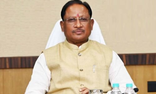 मुख्यमंत्री विष्णुदेव साय के निर्देश पर ग्रामों में फिर बहाल हुई बिजली व्यवस्था, कई जिलों में सोलर प्लांट पूर्ण संचालित