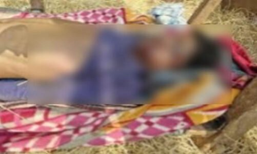 CG : धारदार हथियार से ग्रामीण की हत्या, इलाके में दहशत, पहले नक्सली था मृतक