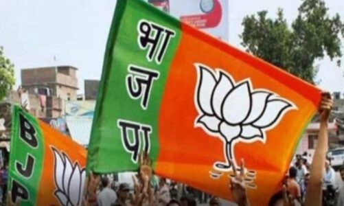 BREAKING : छत्तीसगढ़ बीजेपी में बड़ा फेरबदल, विधानसभा प्रभारियों के बाद 17 प्रकोष्ठों के लिए संयोजक और सह संयोजकों का ऐलान