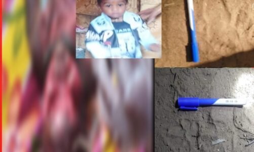 CG : तेंदुए ने छीन ली तीन साल की मासूम की ज़िंदगी, इस हालत में मिली बच्चे की लाश