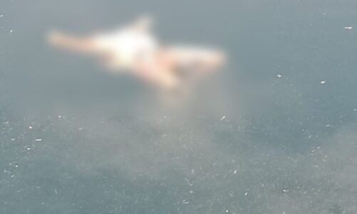 Breaking : राजधानी में यहां मिली सिर कटी लाश, हत्या की आशंका