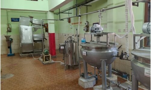 वन विभाग का नवाचार : बस्तर की इमली चटनी को राष्ट्रीय पहचान दिलाएंगी सुकमा की महिलाएं…..